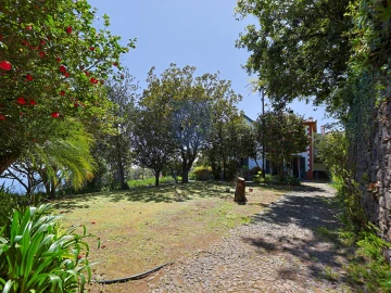 Moradia T4 para Venda em Monte