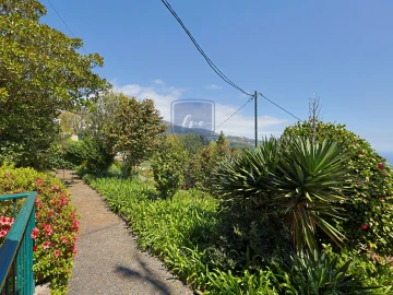 Moradia T4 para Venda em Monte