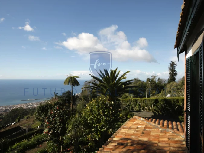 Moradia T4 para Venda em Monte Foto 3