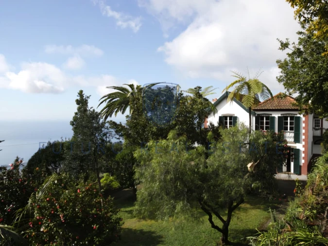 Moradia T4 para Venda em Monte Foto 10