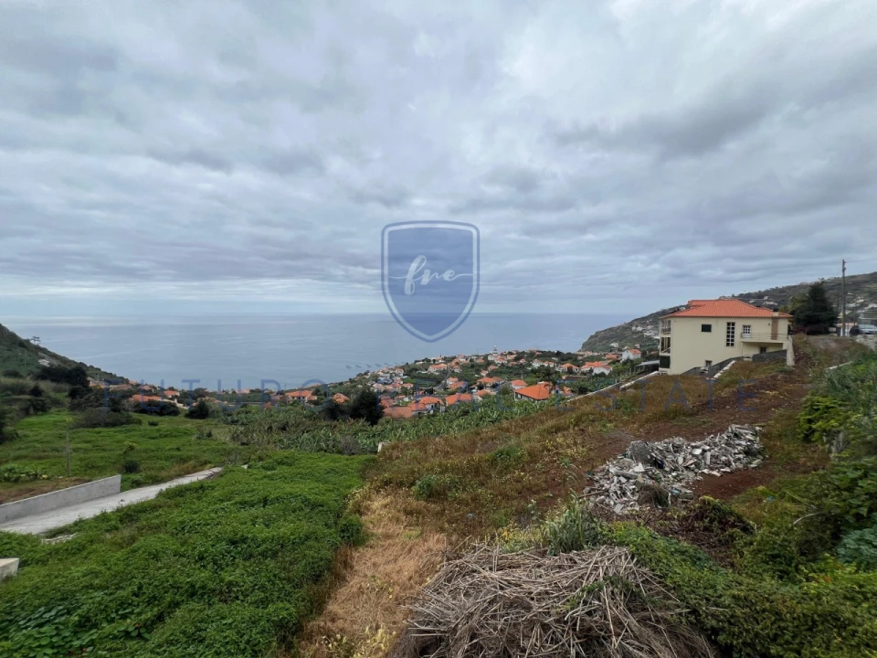 Terreno para Venda em Arco da Calheta Foto 3