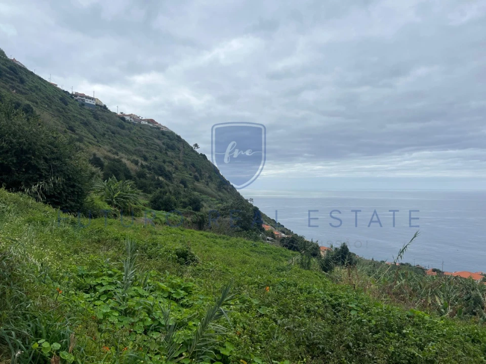 Terreno para Venda em Arco da Calheta Foto 8