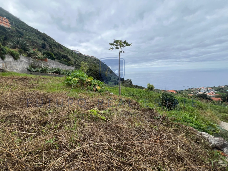 Terreno para Venda em Arco da Calheta Foto 9