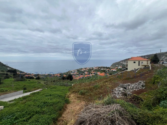 Terreno para Venda em Arco da Calheta Foto 3