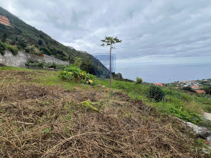Terreno para Venda em Arco da Calheta Foto 9