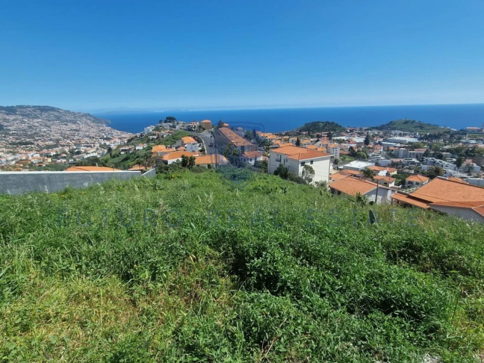 Terreno para Venda em Santo Antonio Foto 5