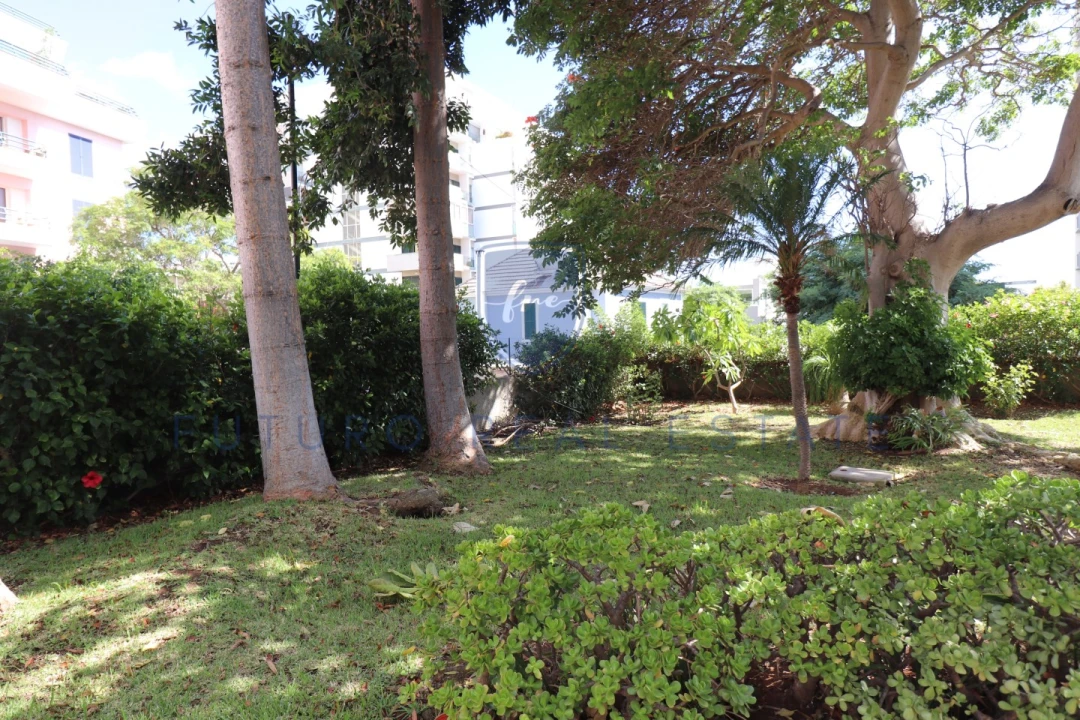 Apartamento T1 para Venda em São Martinho Foto 37