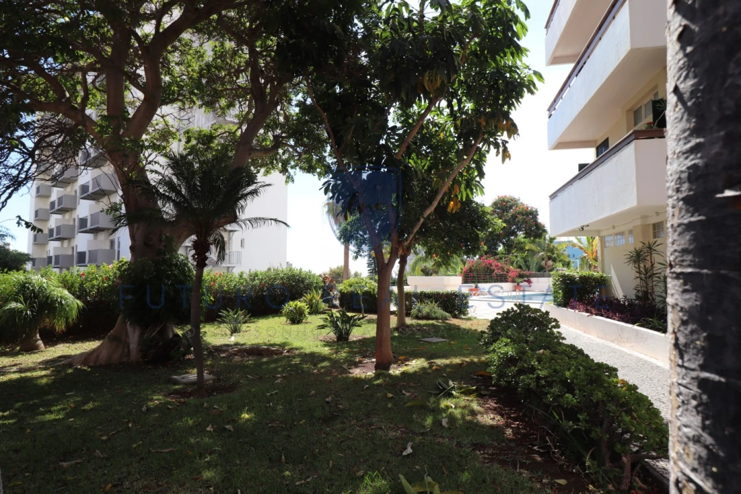 Apartamento T1 para Venda em São Martinho Foto 38
