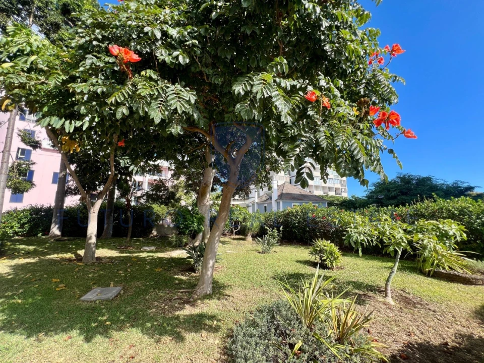 Apartamento T1 para Venda em São Martinho Foto 39