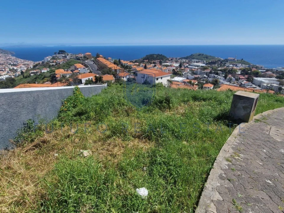 Terreno para Venda em Santo Antonio Foto 10