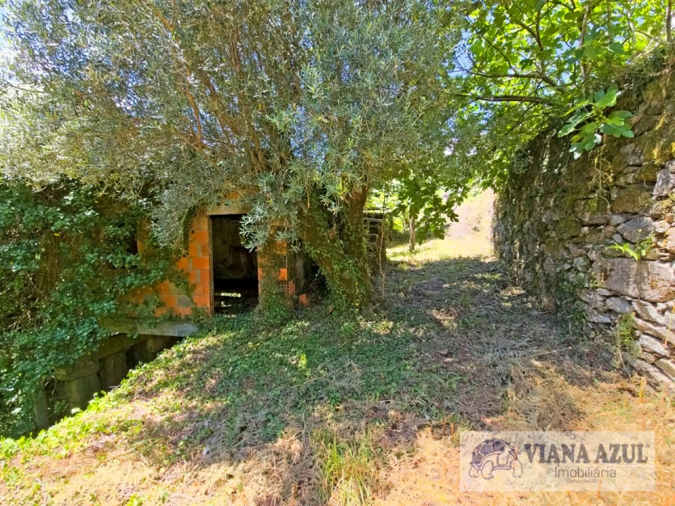 Quinta T2 para Venda em Labruja Foto 2