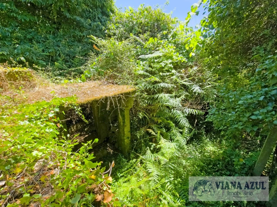 Quinta T2 para Venda em Labruja Foto 4