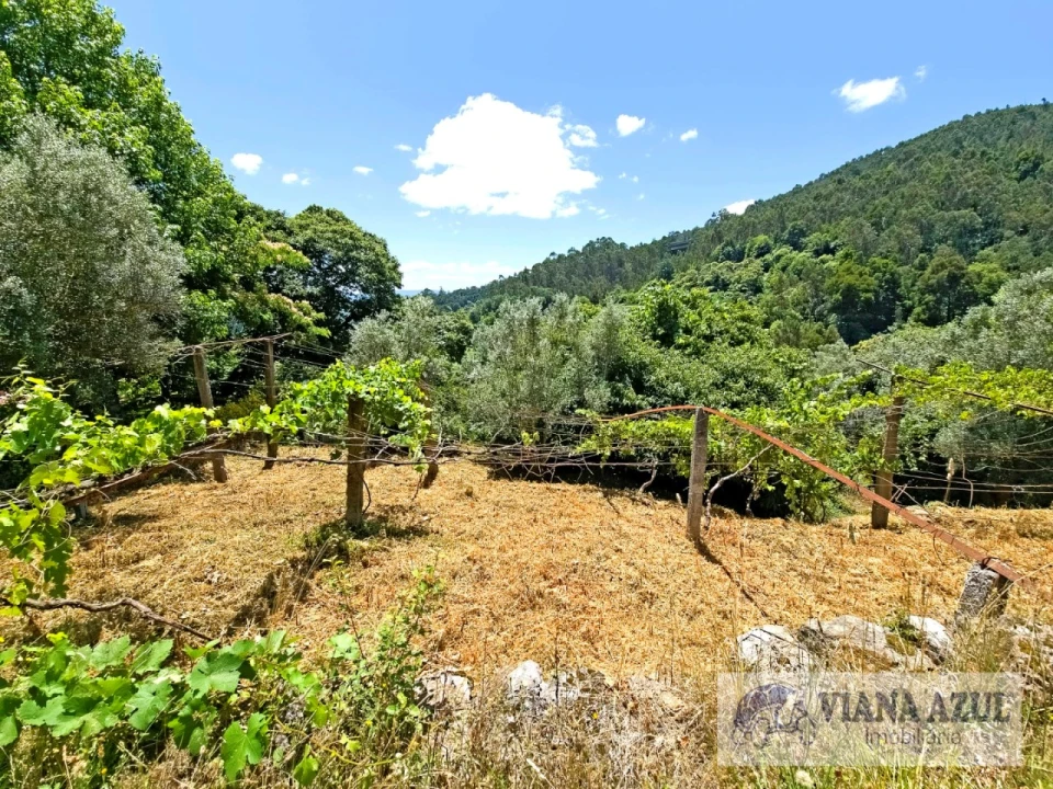 Quinta T2 para Venda em Labruja Foto 5