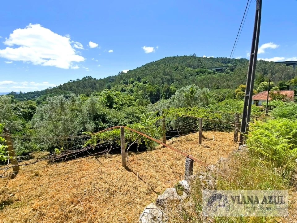 Quinta T2 para Venda em Labruja Foto 7