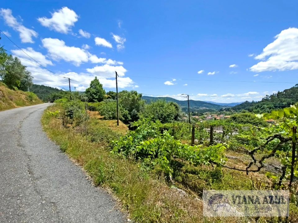 Quinta T2 para Venda em Labruja Foto 8