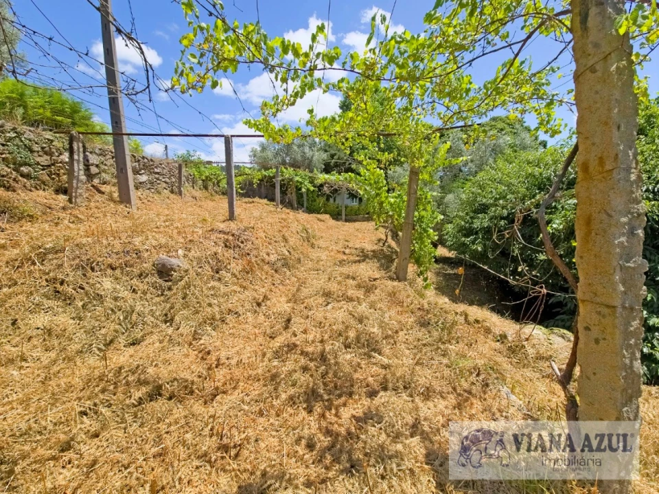 Quinta T2 para Venda em Labruja Foto 11