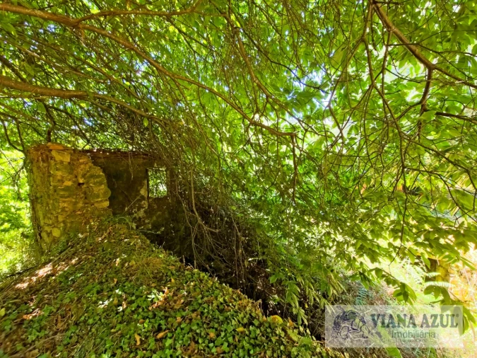 Quinta T2 para Venda em Labruja Foto 3