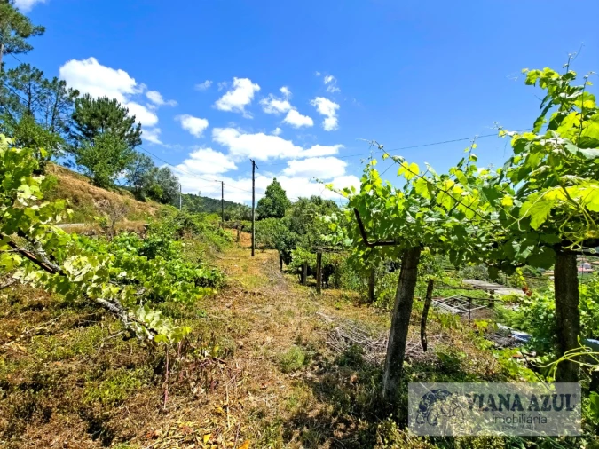 Quinta T2 para Venda em Labruja Foto 6