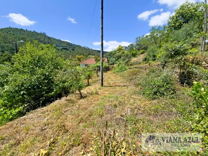 Quinta T2 para Venda em Labruja Foto 10