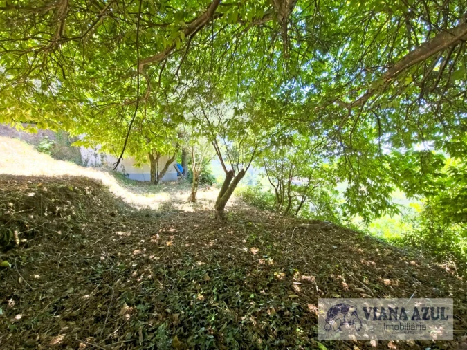 Quinta T2 para Venda em Labruja Foto 12