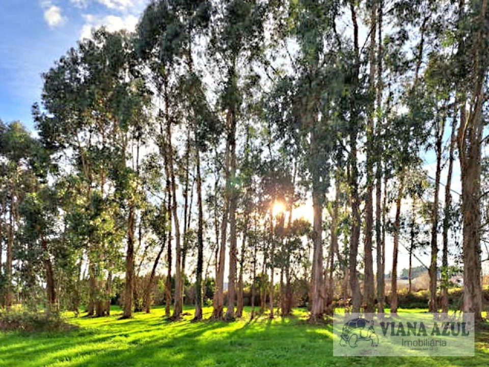 Quinta T5 para Venda em Vila de Punhe Foto 48