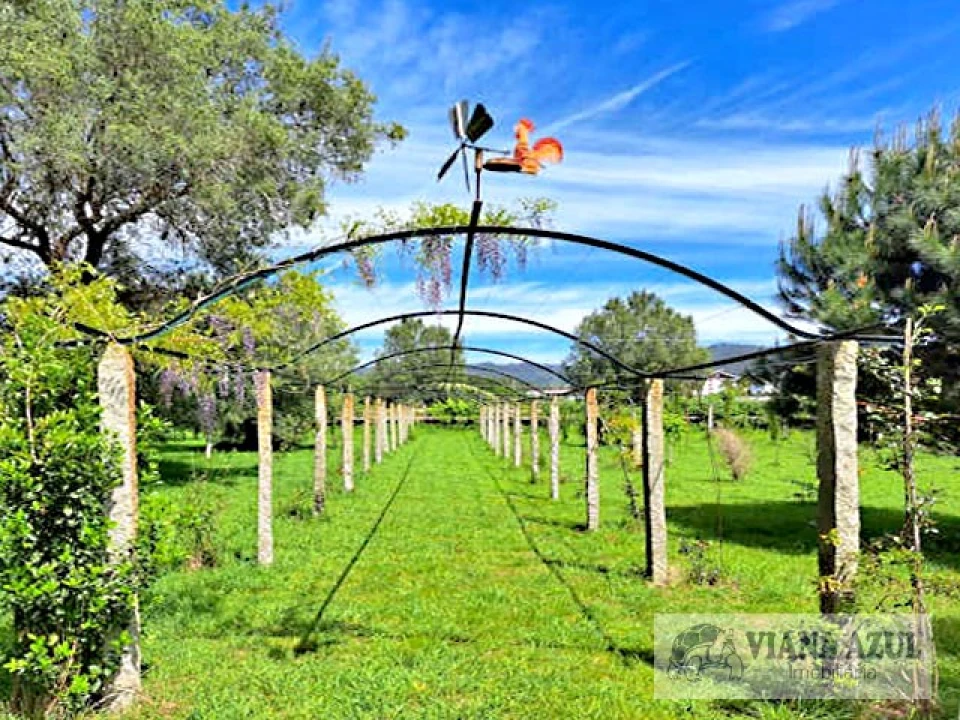 Quinta T5 para Venda em Vila de Punhe Foto 51