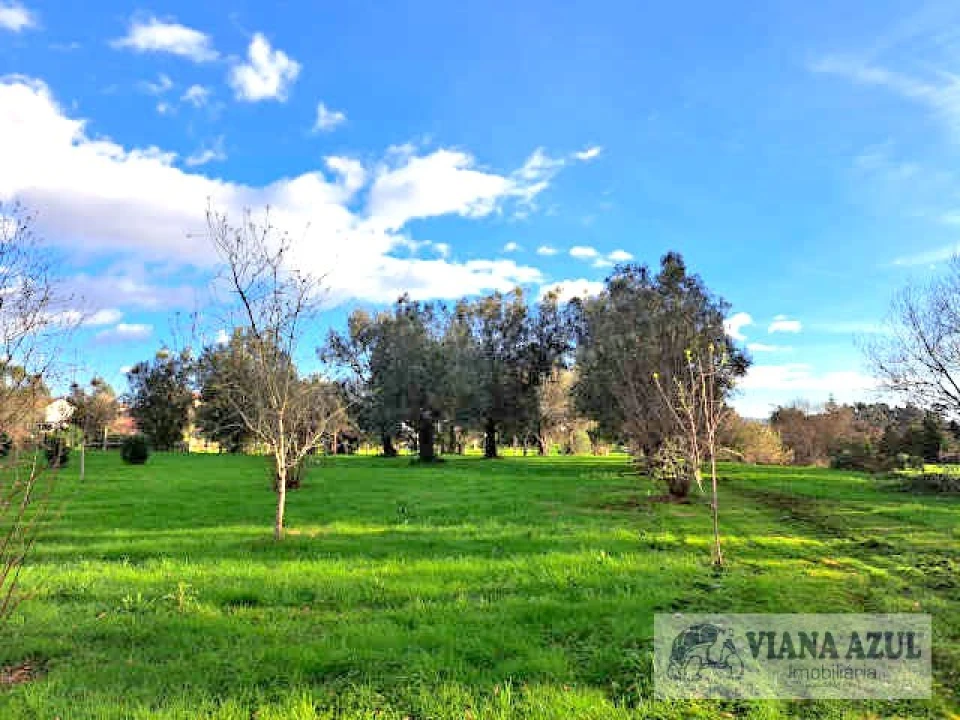 Quinta T5 para Venda em Vila de Punhe Foto 53