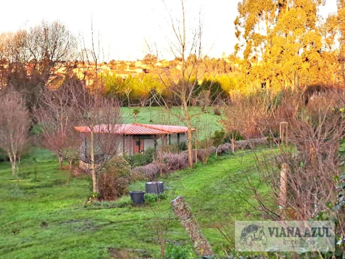 Quinta T5 para Venda em Vila de Punhe Foto 50