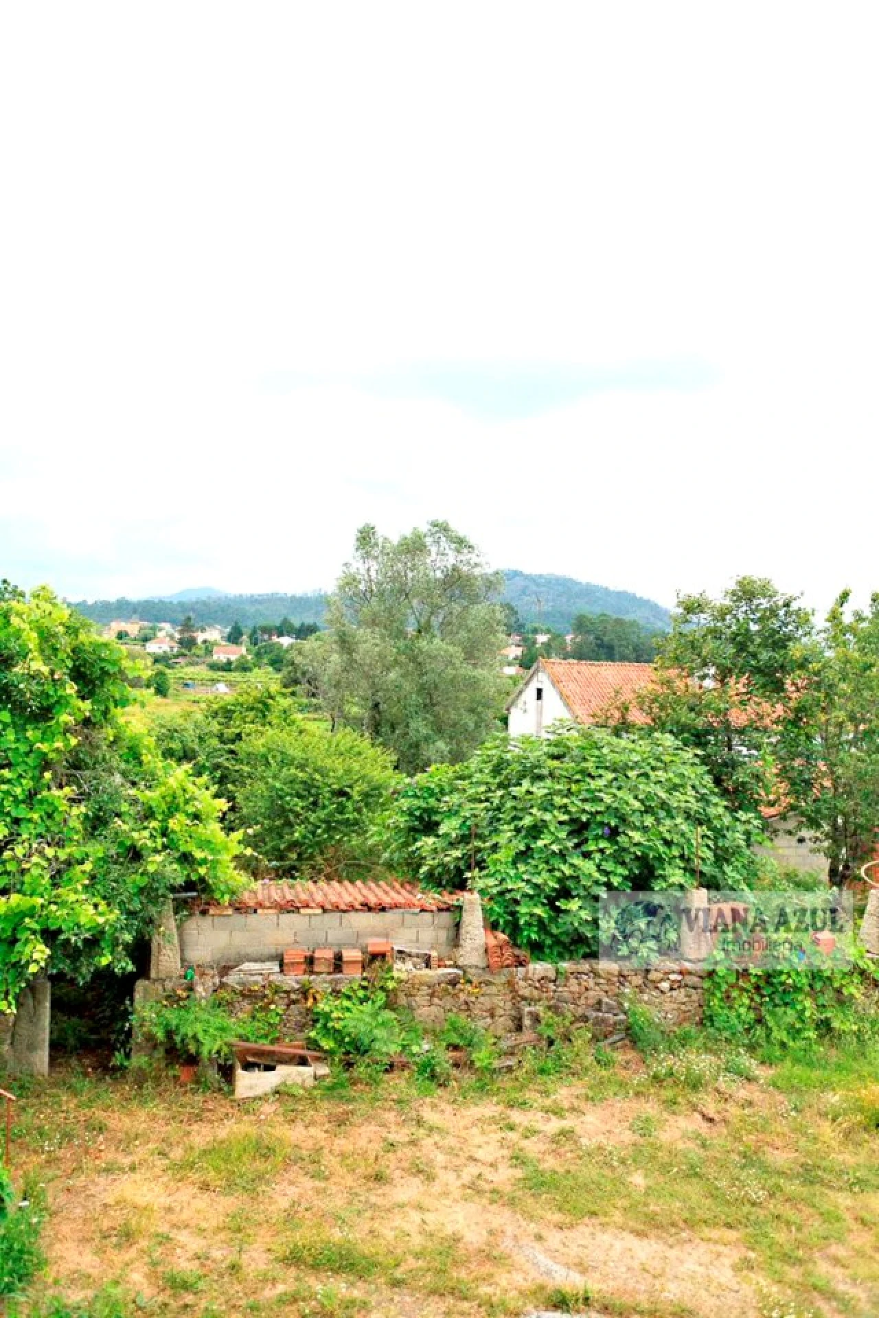 Quinta T4 para Venda em Cardielos e Serreleis Foto 14