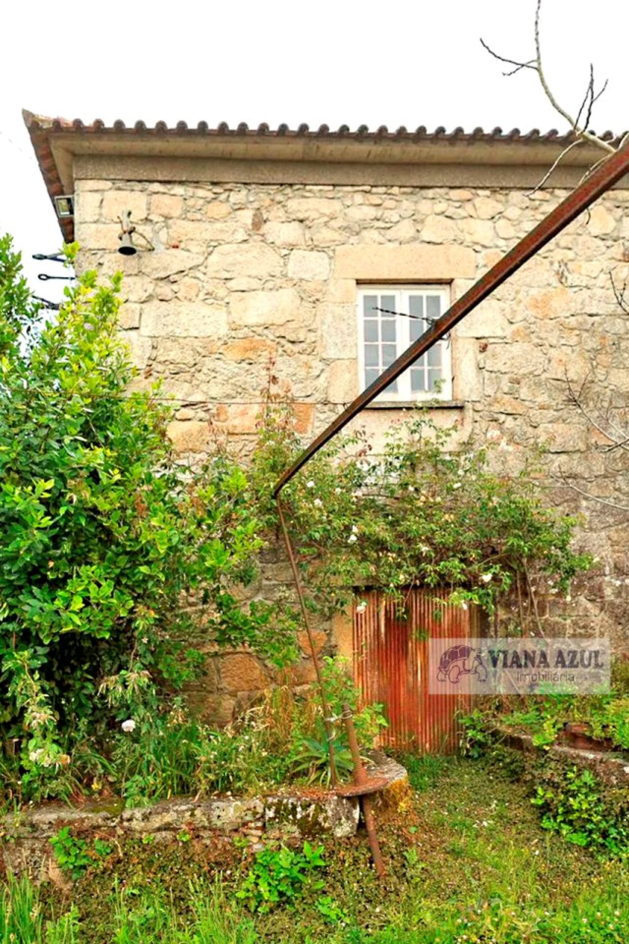 Quinta T4 para Venda em Cardielos e Serreleis Foto 19