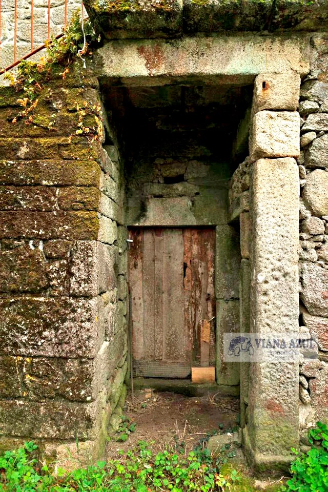 Quinta T4 para Venda em Cardielos e Serreleis Foto 20