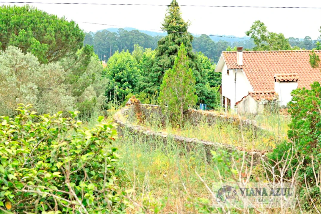 Quinta T4 para Venda em Cardielos e Serreleis Foto 21