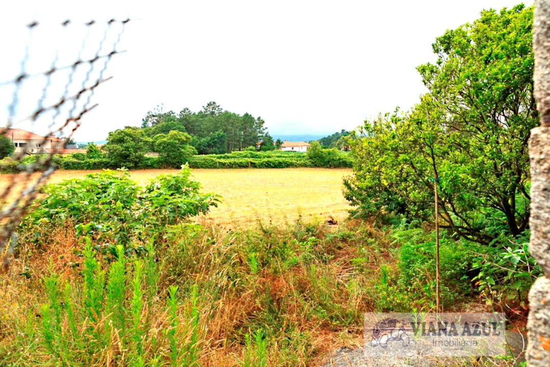 Quinta T4 para Venda em Cardielos e Serreleis Foto 26