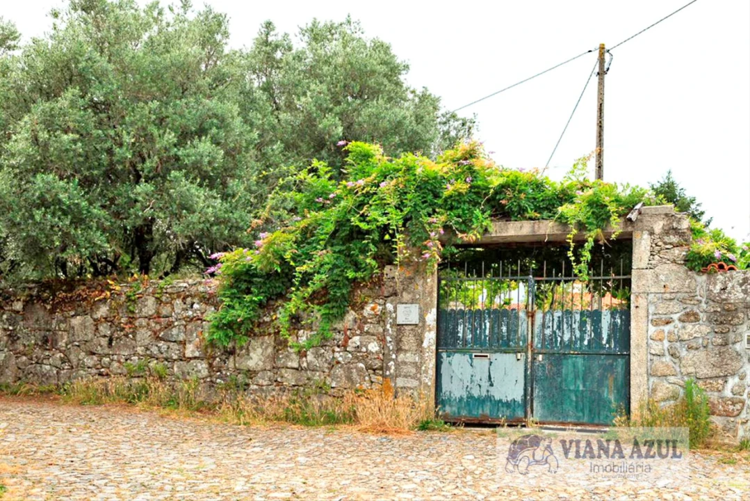 Quinta T4 para Venda em Cardielos e Serreleis Foto 27
