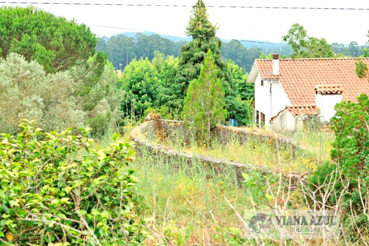 Quinta T4 para Venda em Cardielos e Serreleis Foto 21