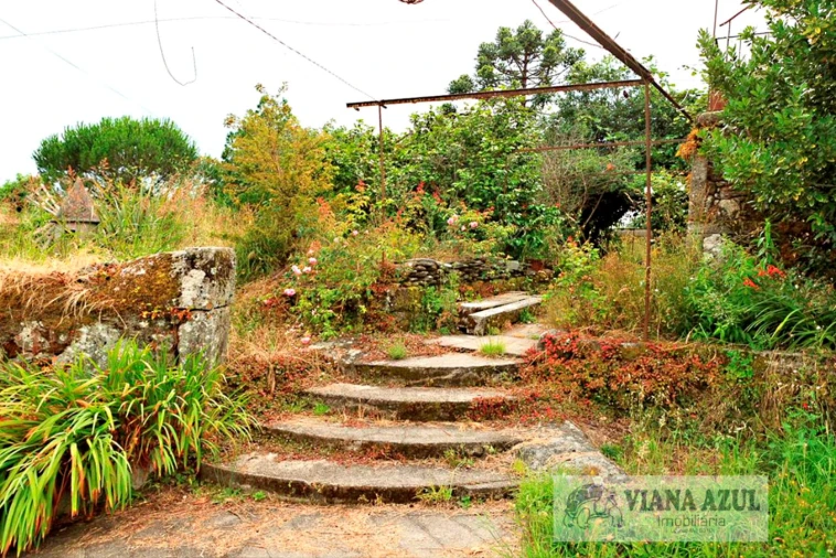 Quinta T4 para Venda em Cardielos e Serreleis Foto 29