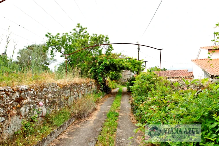 Quinta T4 para Venda em Cardielos e Serreleis Foto 30