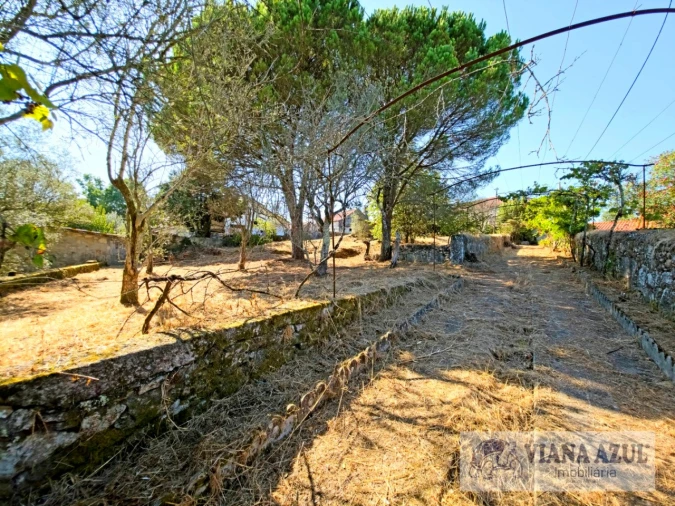 Quinta T4 para Venda em Cardielos e Serreleis Foto 52