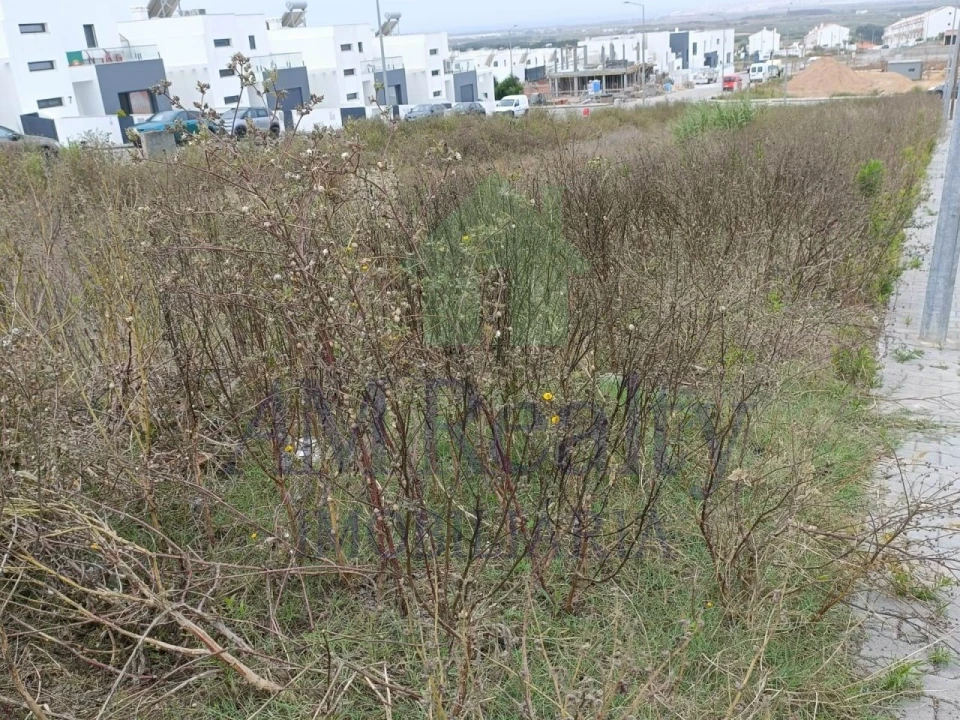 Terreno para Venda em Atouguia da Baleia Foto 2