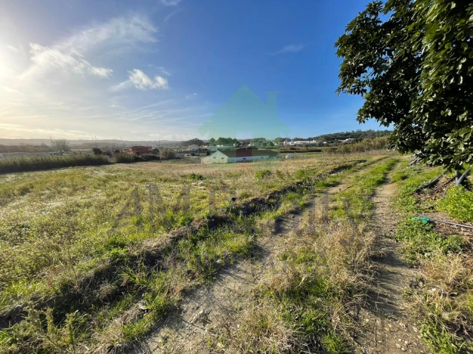 Terreno Agricola ou Rústico para Venda em Amoreira Foto 9