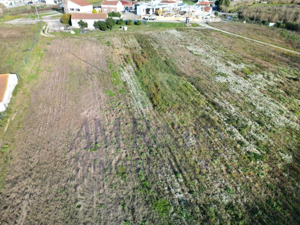 Terreno Agricola ou Rústico para Venda em Amoreira Foto 10