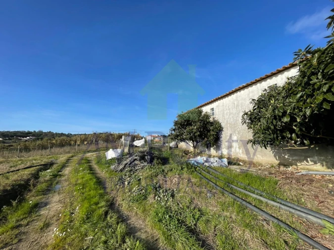 Terreno Agricola ou Rústico para Venda em Amoreira Foto 4