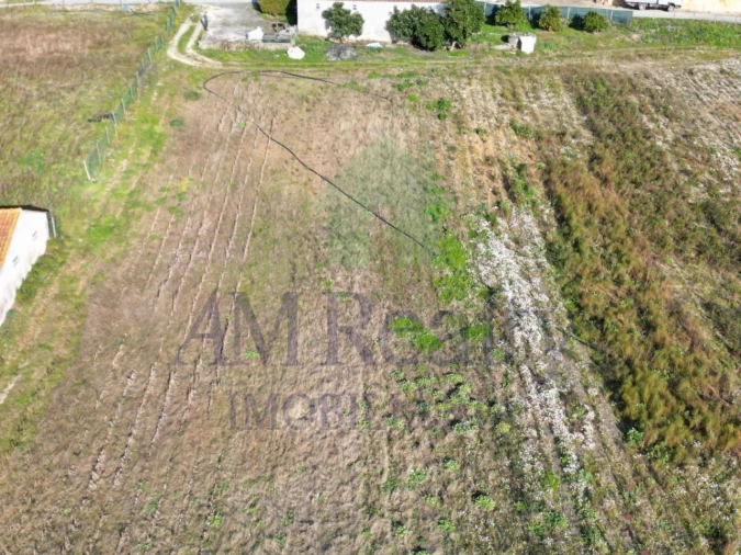 Terreno Agricola ou Rústico para Venda em Amoreira Foto 8