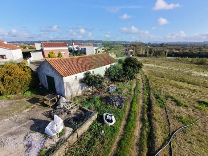 Terreno Agricola ou Rústico para Venda em Amoreira
