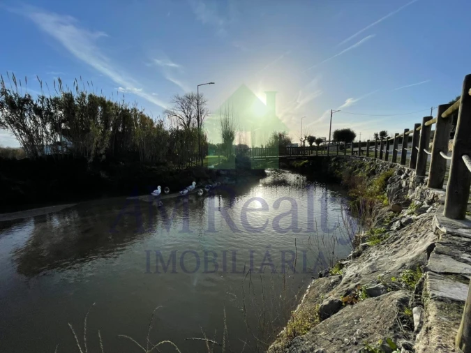 Terreno Agricola ou Rústico para Venda em Amoreira Foto 12