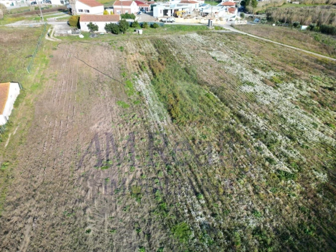 Terreno Agricola ou Rústico para Venda em Amoreira Foto 10
