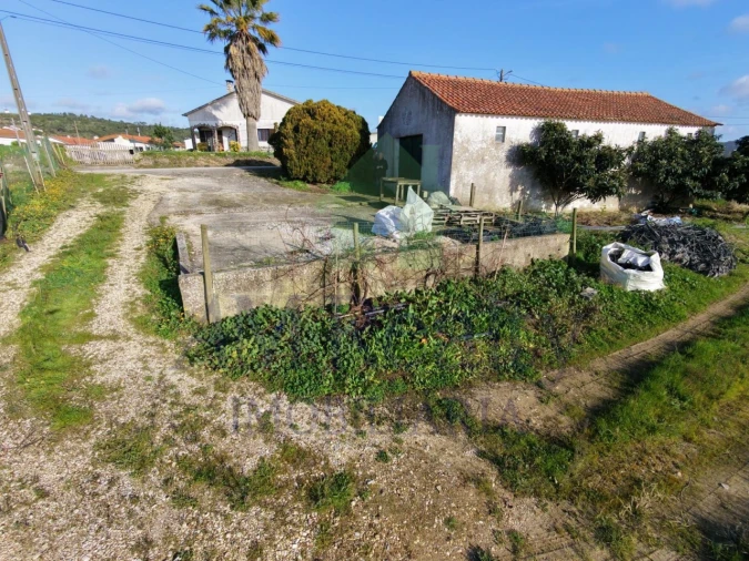 Terreno Agricola ou Rústico para Venda em Amoreira Foto 2