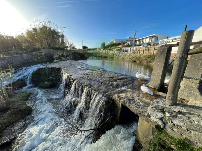 Terreno Agricola ou Rústico para Venda em Amoreira Foto 13