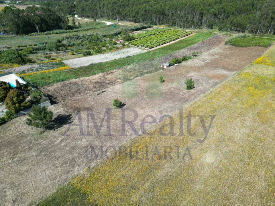 Terreno para Venda em Atouguia da Baleia Foto 9
