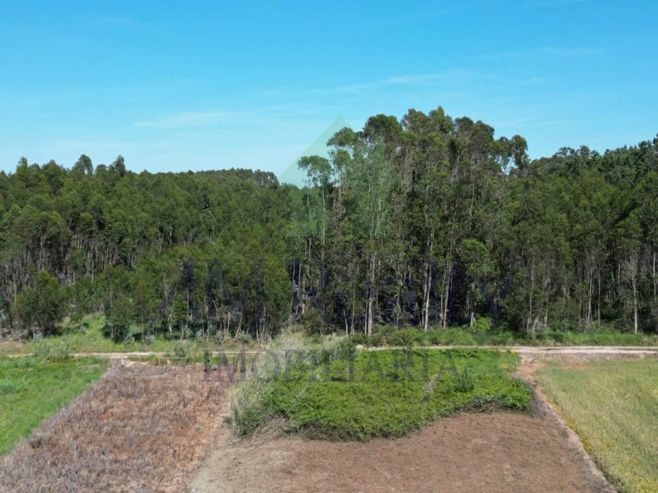 Terreno para Venda em Atouguia da Baleia Foto 10